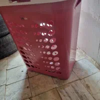 سبدردارلیمون نو.
