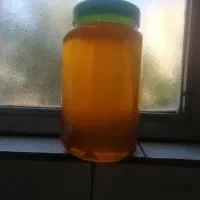 عسل گون گیاهی
