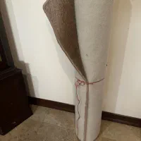 پالاز موکت