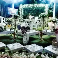 باغ تالار و عمارت ونک|خدمات پذیرایی، مراسم|شیراز, انجیره|دیوار