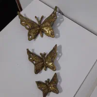 پروانه برنجی