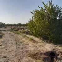 زمین-بوژمهران