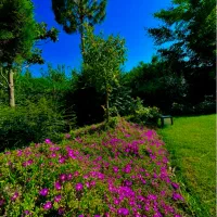 خدمات باغبانی و نگهداری استخر