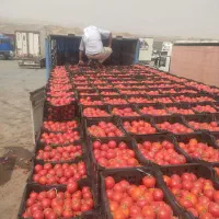باربری وحمل تره باروخشک باروکالا