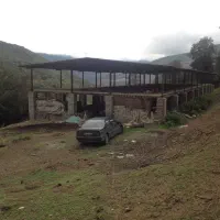 مرغداری نیمه کاره با جواز و زمین سند تکبرگ|فروش دفتر صنعتی، کشاورزی، تجاری|پل سفید, |دیوار