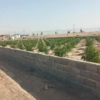 زمین ۲۵۰ متری آماده ساخت با تمام امکانات|فروش زمین و ملک کلنگی|قرچک, پویینک|دیوار