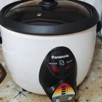 پلوپز ۱۰نفره پاناسونیک|اجاق گاز و لوازم برقی پخت‌وپز|فولادشهر, A4|دیوار