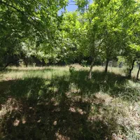 باغ حدوداً 500متر برق وآب دیوار قابل معاوضه آبشینه|فروش زمین و ملک کلنگی|همدان, |دیوار