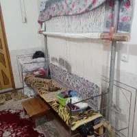 فروش دارقالی نیمه کاره نائینی