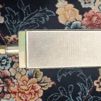 بخاری پیکنیکی