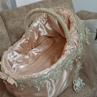کریر نوزاد