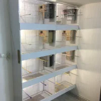 باکس قفس پرنده