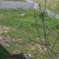 فروش زمین بافت  ۳۶۴ متری دوجمان محله تهرانی نشین|فروش زمین و ملک کلنگی|هچیرود, |دیوار