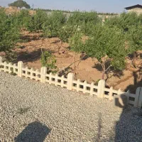 فروش  باغچه با سند تک برگ|فروش دفتر صنعتی، کشاورزی، تجاری|تهران, تهران پارس|دیوار