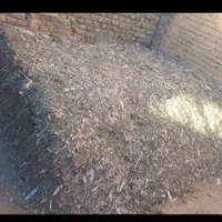 کودیابارکفتر|خدمات باغبانی و درختکاری|بردسکن, |دیوار