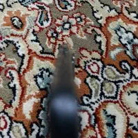گوشی شیامی نوت 11sپرو
