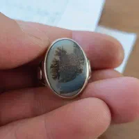 انگشتر شجر|جواهرات|بروجرد, |دیوار