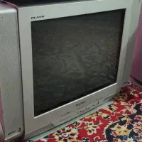 تلویزیون