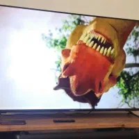 تلویزیون ایکس ویژن ۵۵ اینچ (فور کی 4k)