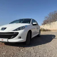 ۲۰۷ خشک پانا ارتقا معاوضه