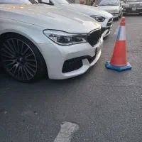 پارکبان ، ولت پارک ، راننده ، وله حرفه‌ای