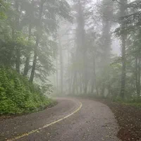 سوئیت ویلایی|اجارهٔ کوتاهمدت آپارتمان و سوئیت|گلوگاه, |دیوار