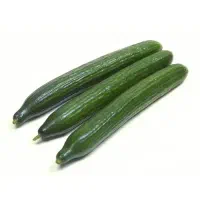خیار محلی