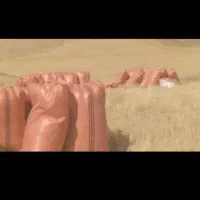 کاه درجه یک