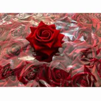 سر گل رز مخمل مصنوعی|گل مصنوعی|تهران, الهیه|دیوار