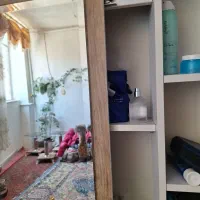 درآور آینه ریلی