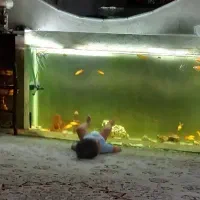 کاملا سالم ۱۰ میل هر طرف ۳ تا پل داره