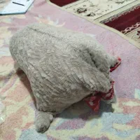 خیگ|خوردنی و آشامیدنی|دهدشت, |دیوار