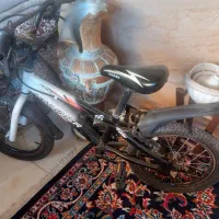 دوچرخه خارحی سالم