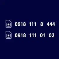 فروش خط ۱۱۱