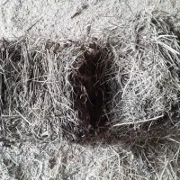 یونجه چین اول بسته بندی پرس