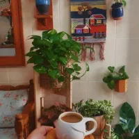 خانه-نیمه-ساز