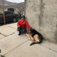 تهران بجنورد