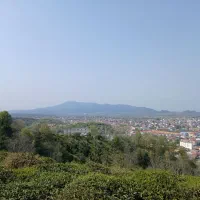 زمین سندارشهری .کمربندی جلوتر از ۳راه دادگستری