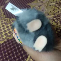 عروسک لبوبو|اسباب‌‌بازی|نی‌ریز, |دیوار