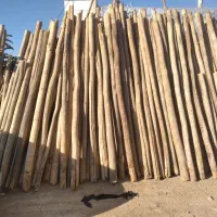 خریدار انواع چوب بابالاترین قیمت|خدمات باغبانی و درختکاری|کرمانشاه, |دیوار