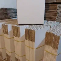 کارتن سازی علایی