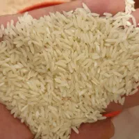 غذایی|خوردنی و آشامیدنی|تهران, طیب|دیوار