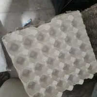 شانه تخم مرغ