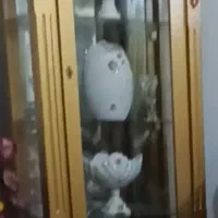بوفه