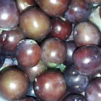 آلو سیاه یا آلو لواشکی به مقدار محدود