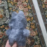 فروش عروسک لبوبو|اسباب‌بازی بچه|ابهر, |دیوار