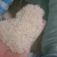 برنج طارم هاشمی معطرفریدونکنار درجه 1