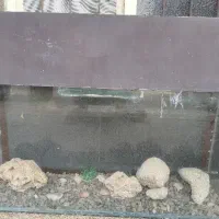 آکواریوم