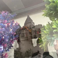 آکواریوم|ماهی|تهران, شهرک امیرالمومنین|دیوار