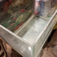 آکواریوم شیشه خم|ماهی|چالوس, |دیوار